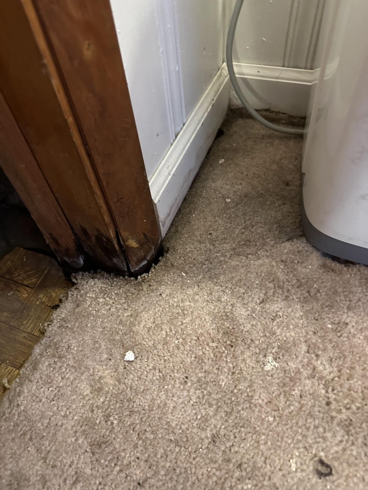 Water staining on carpet near a wooden doorframe
